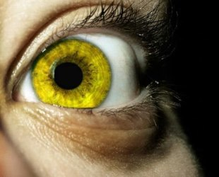 желтые глаза