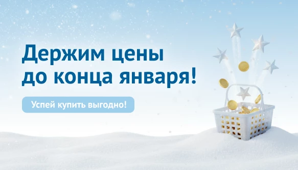 Держим цены до конца января!