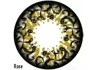 Цветные контактные линзы Ophthalmix Butterfly Gold (2 линзы)