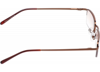 Очки для чтения Farsi 1414 (тонированные)