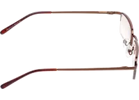 Очки для чтения Farsi 1414 (тонированные)