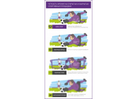 Контактные линзы ADRIA Sport (6 линз)