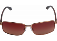 Солнцезащитные очки Leonardo (LYGG 33)