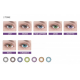 Цветные контактные линзы ADRIA Color 2 Tone (2 линзы)